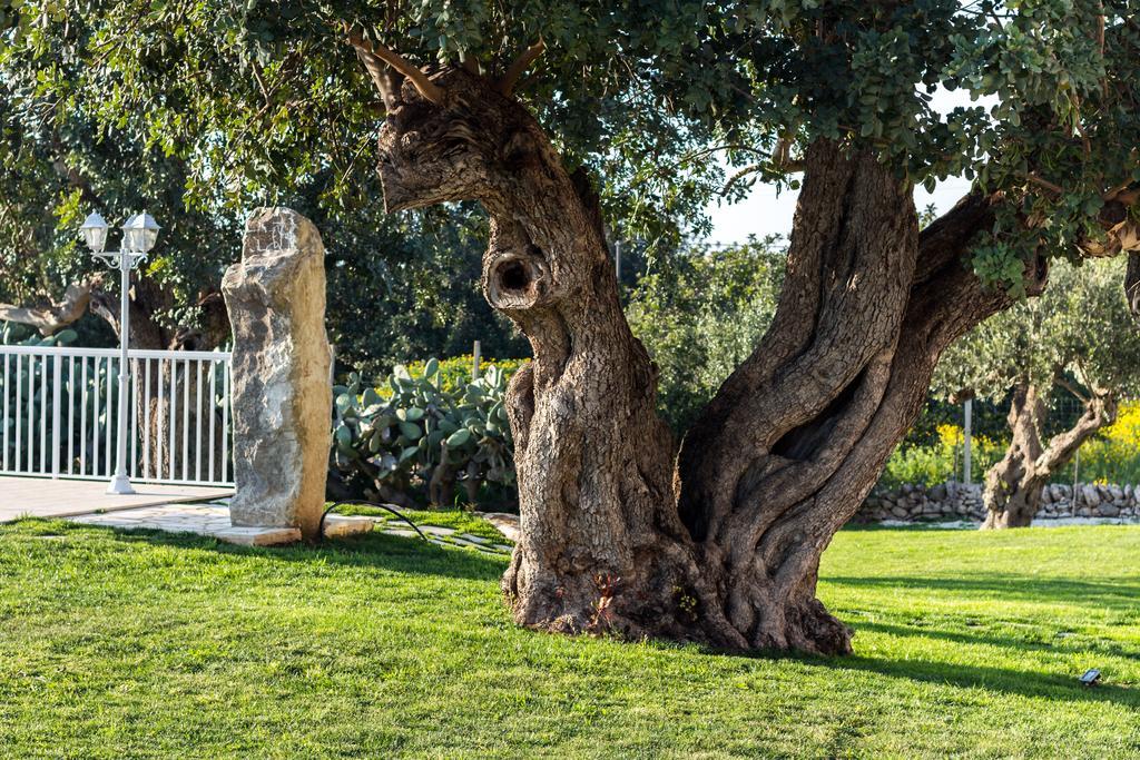 Il Giardino Dei Frangipani Leilighet Santa Croce Camerina Eksteriør bilde